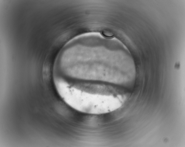 X0000103140074200809192015
