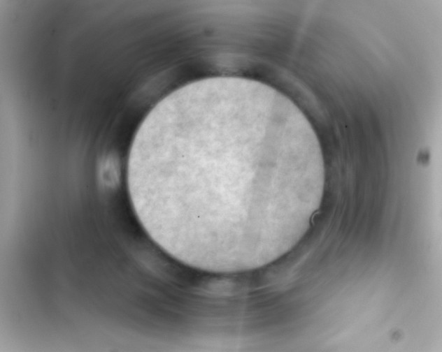 X0000103140075200809192015