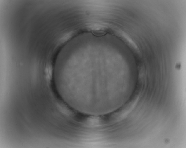 X0000103140076200809192015