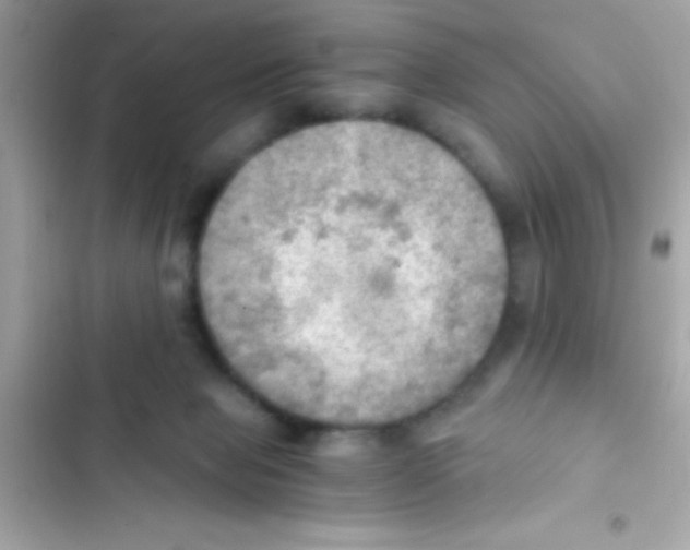 X0000103140077200809192015