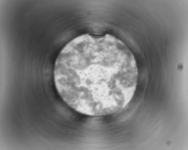 X0000103140078200809192015