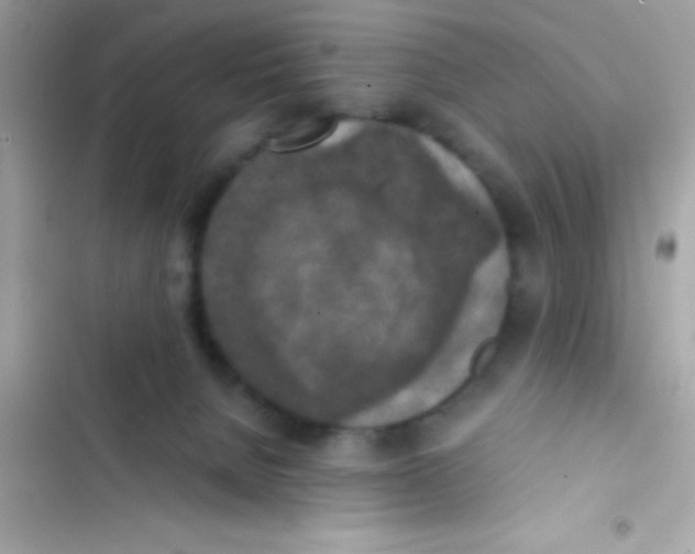 X0000103140080200809192015