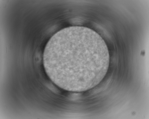 X0000103140081200809192015