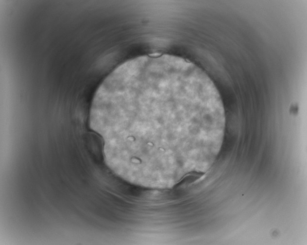 X0000103140082200809192015