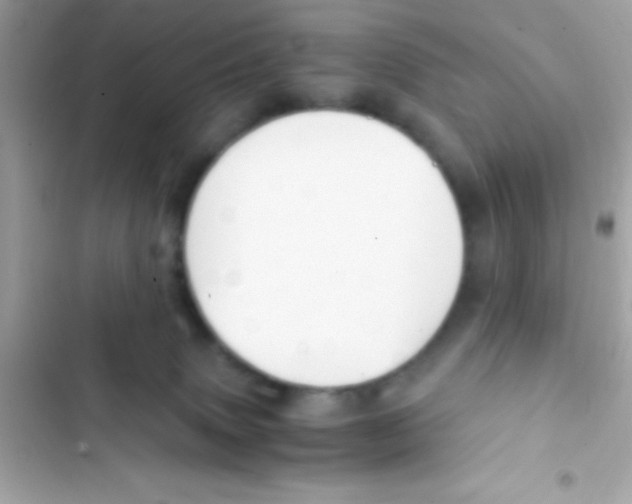 X0000103140083200809192015