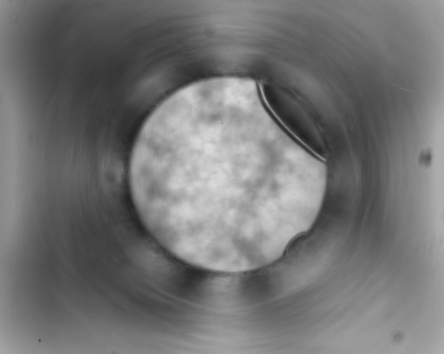 X0000103140084200809192015