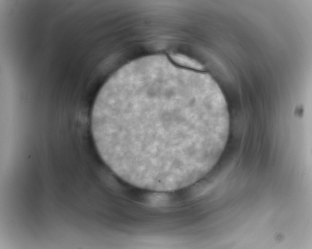X0000103140085200809192015