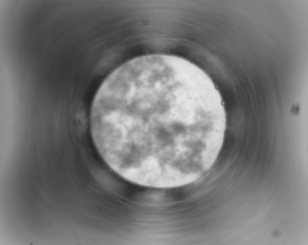 X0000103140086200809192015