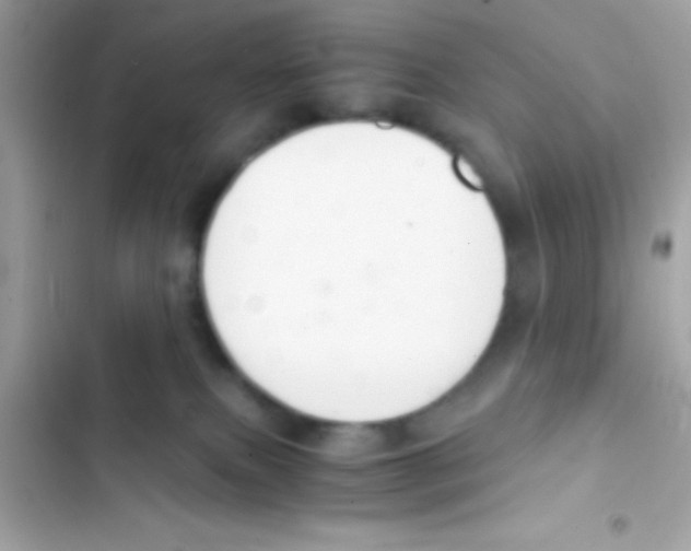 X0000103140087200809192015