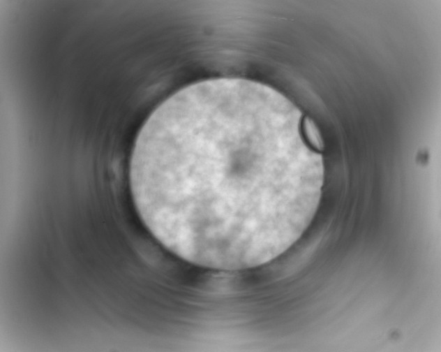 X0000103140088200809192015