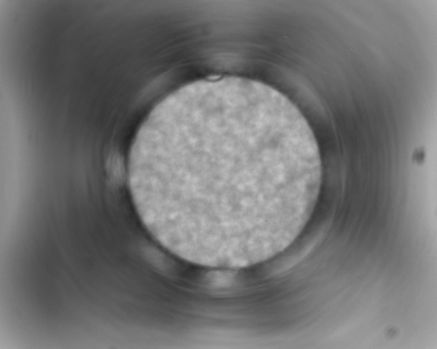 X0000103140089200809192015