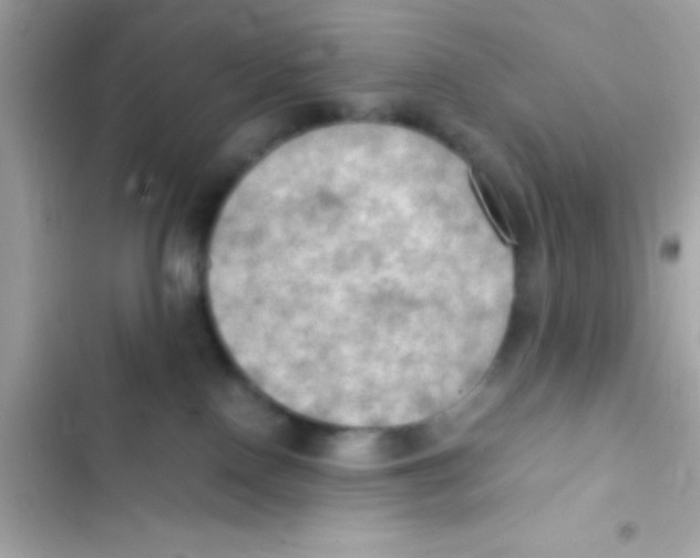 X0000103140090200809192015