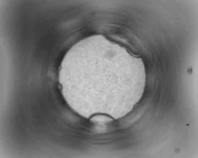 X0000103140091200809192015