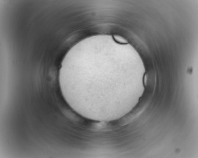 X0000103140092200809192015