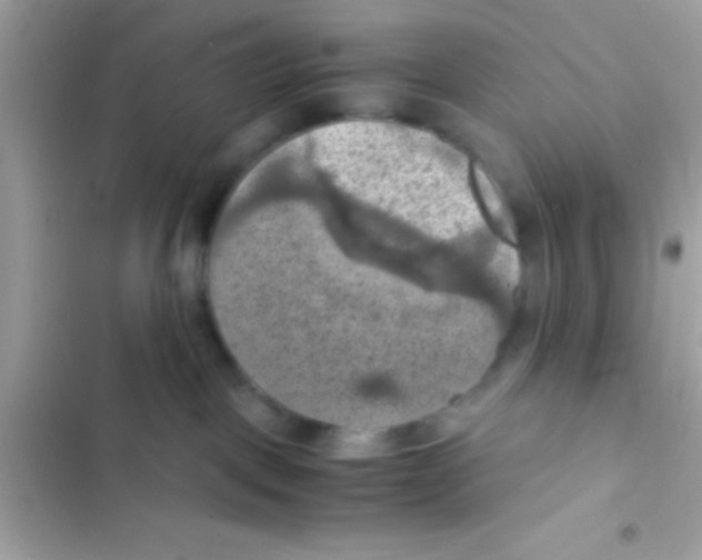 X0000103140093200809192015