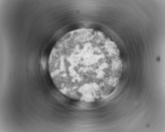 X0000103140094200809192015