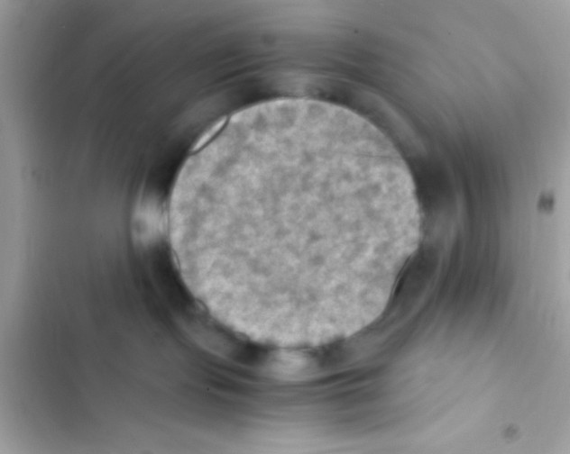 X0000103140095200809192015