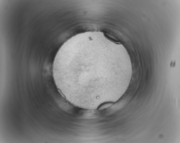 X0000103140096200809192015