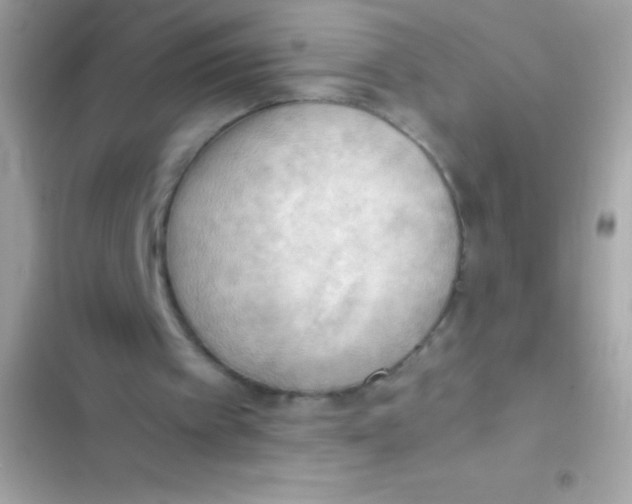 X0000103140097200809192015