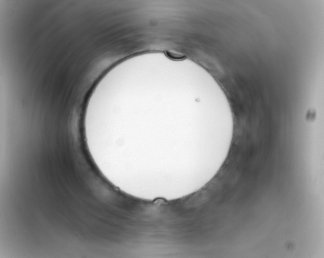X0000103140098200809192015