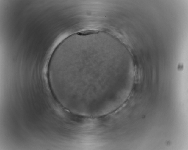 X0000103140099200809192015