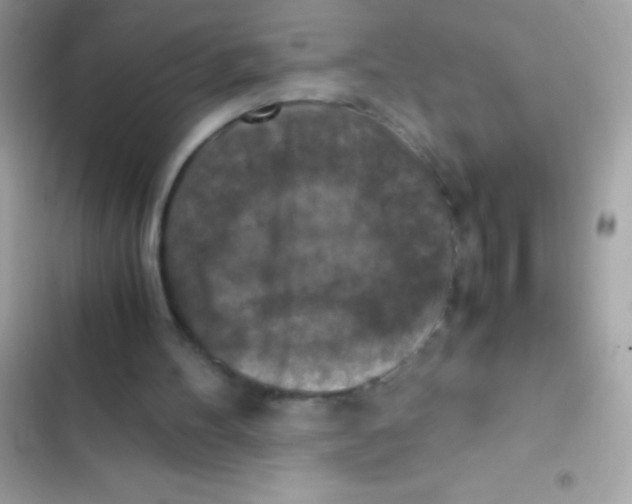 X0000103140100200809192014