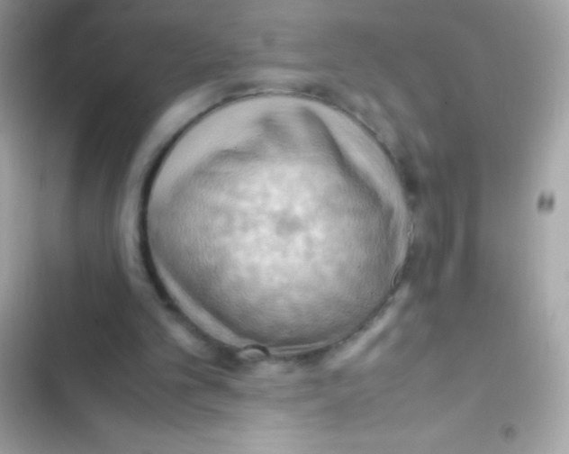 X0000103140101200809192014