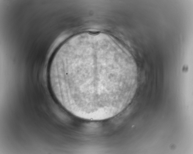X0000103140102200809192014