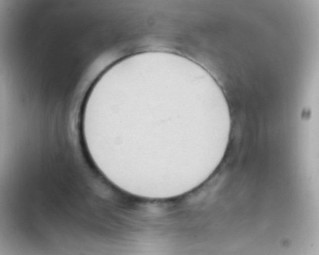 X0000103140103200809192014