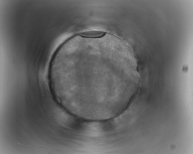 X0000103140104200809192014