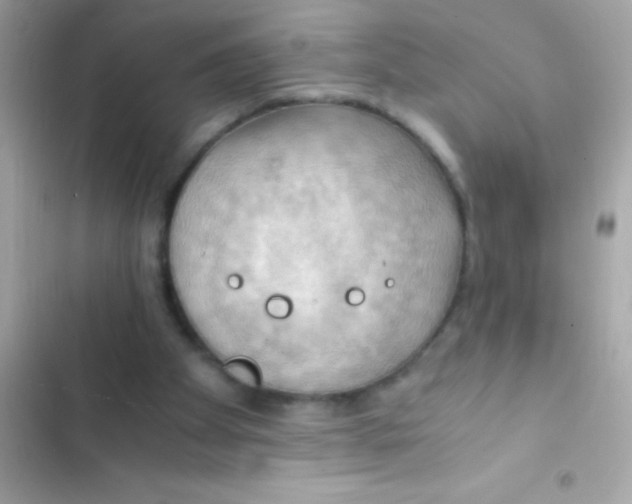 X0000103140105200809192014