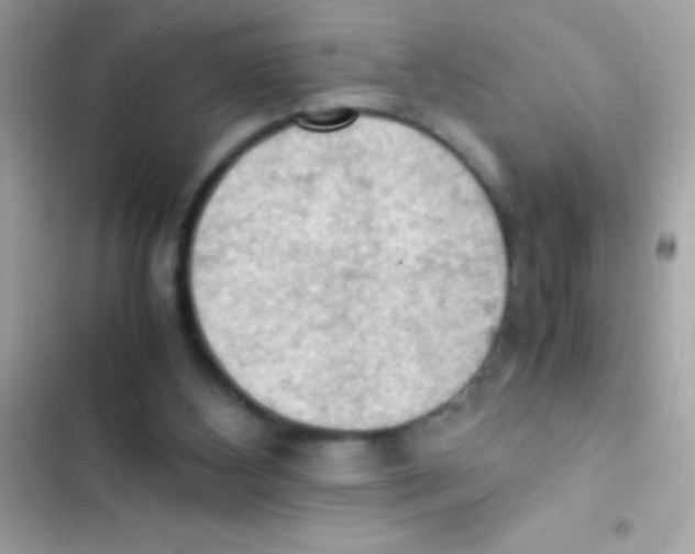 X0000103140108200809192014