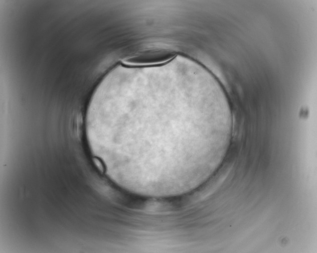 X0000103140109200809192014