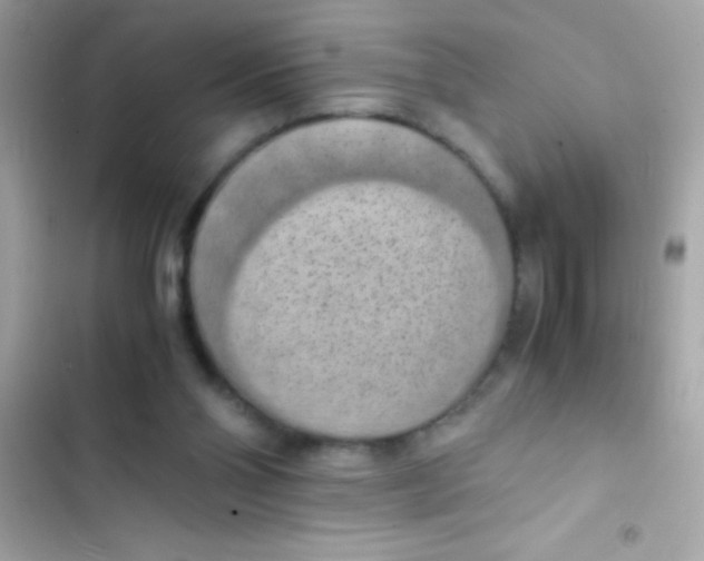 X0000103140110200809192014