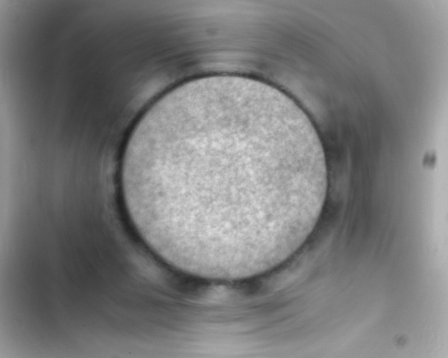 X0000103140111200809192014