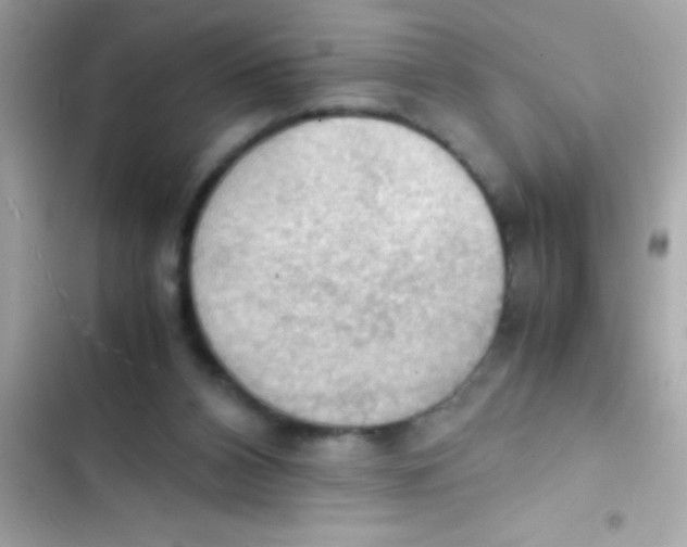 X0000103140112200809192014