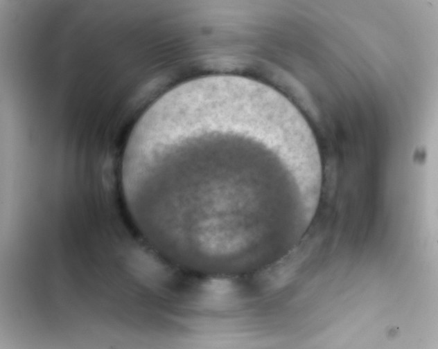 X0000103140114200809192014