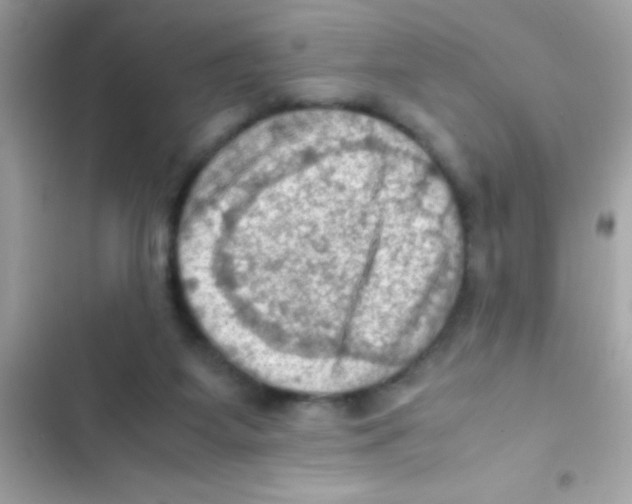 X0000103140115200809192014