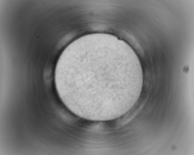 X0000103140116200809192014