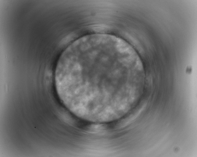 X0000103140117200809192014