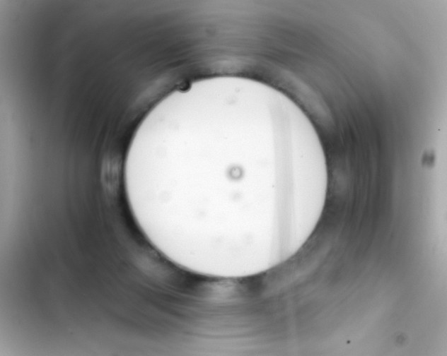 X0000103140118200809192014
