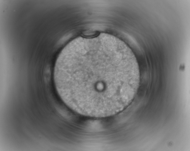 X0000103140120200809192014