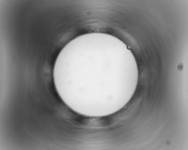 X0000103140121200809192014