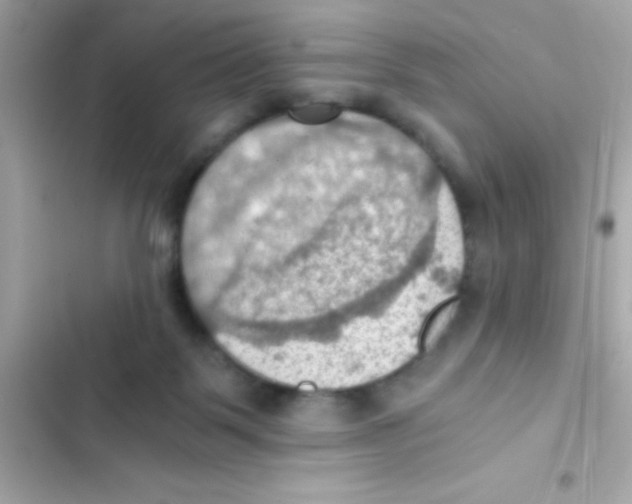 X0000103140123200809192014