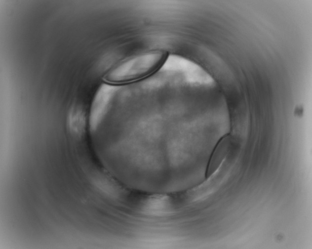 X0000103140124200809192014