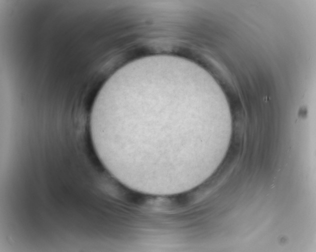 X0000103140125200809192014