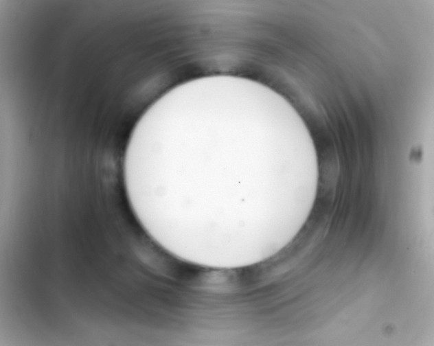 X0000103140126200809192014