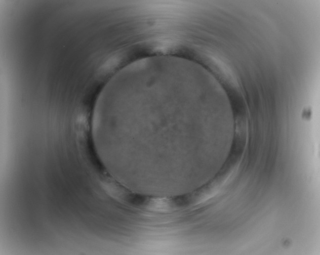 X0000103140127200809192014