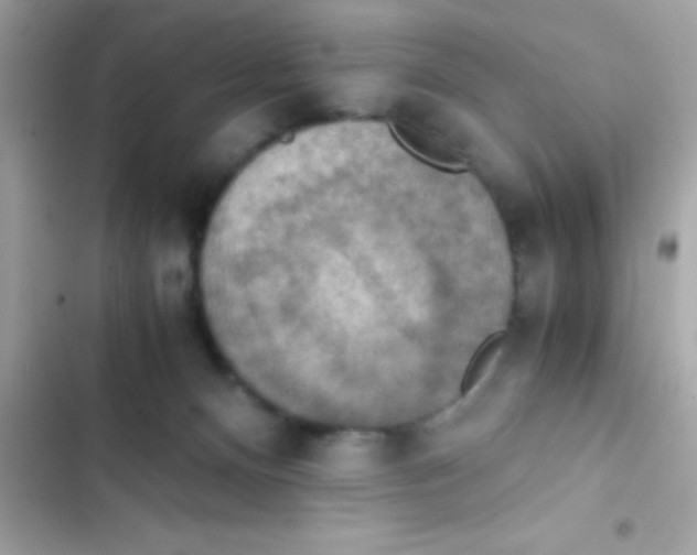 X0000103140128200809192014