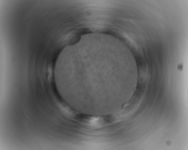 X0000103140130200809192014